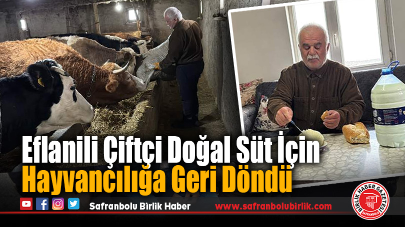 Doğal Süt İçin Hayvancılığa Geri Döndü