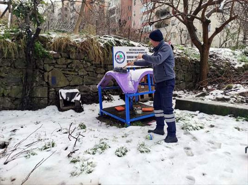 Karadeniz Ereğli’de sahipsiz hayvanlar ve kuşlar için yiyecek bırakıldı