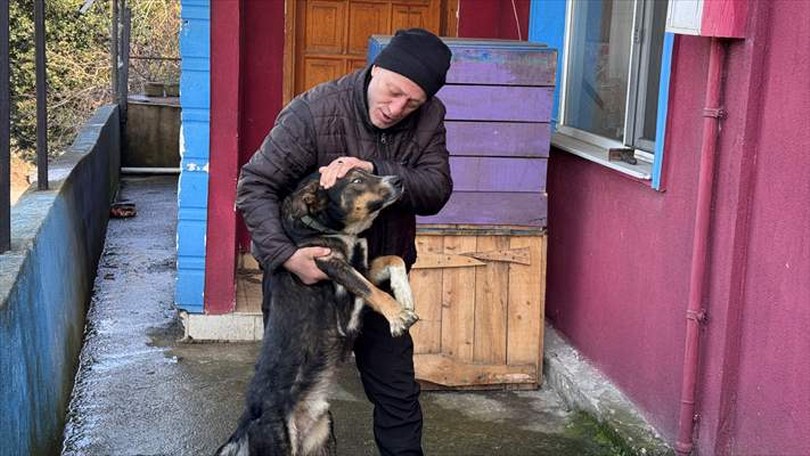 Zonguldak’ta emekli madenci, yaralı bulduğu köpeği tedavisinin ardından sahiplendi