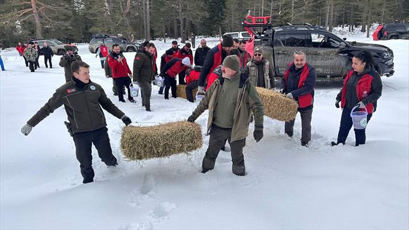 Kastamonu’da karlı yolları yaban hayvanları için aşıp doğaya yem bıraktılar