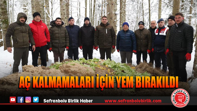 Aç kalmamaları için yem bırakıldı