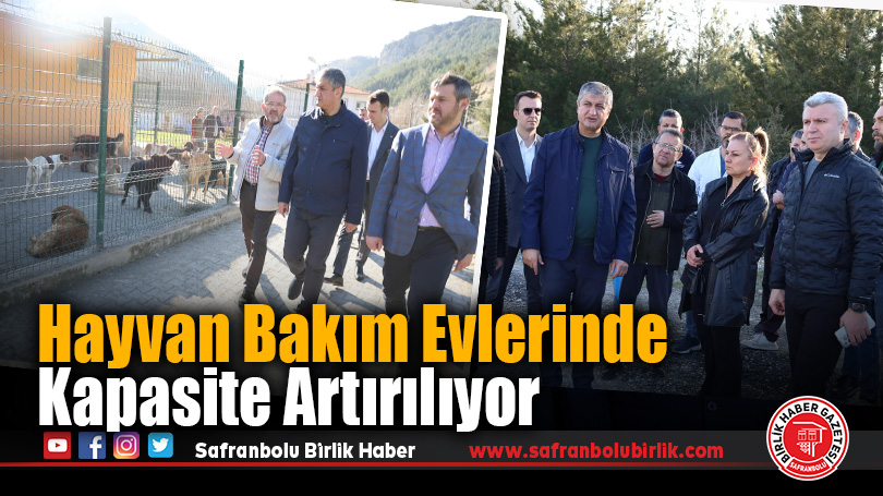 Hayvan Bakım Evlerinde Kapasite Artırılıyor
