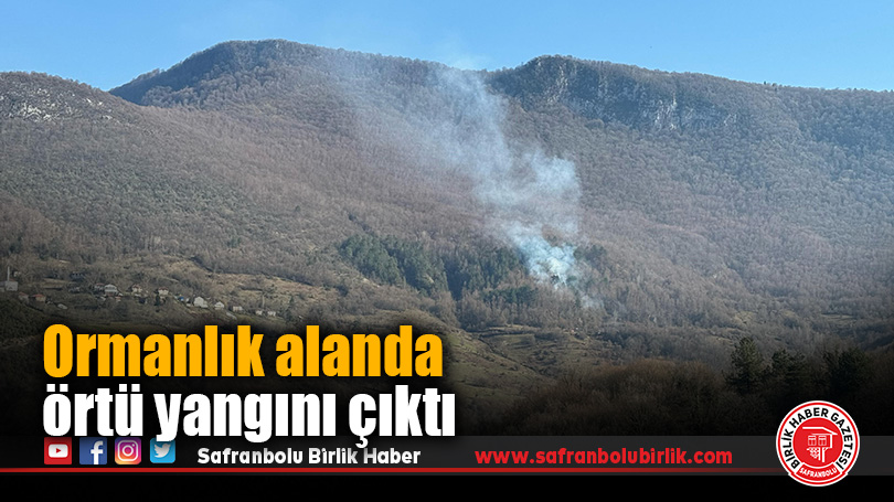 Ormanlık alanda örtü yangını çıktı