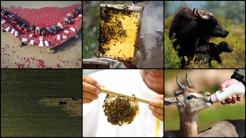 Türkiye, tarımsal hasılada Avrupa’da lider ve dünyada 8. sırada yer alıyor