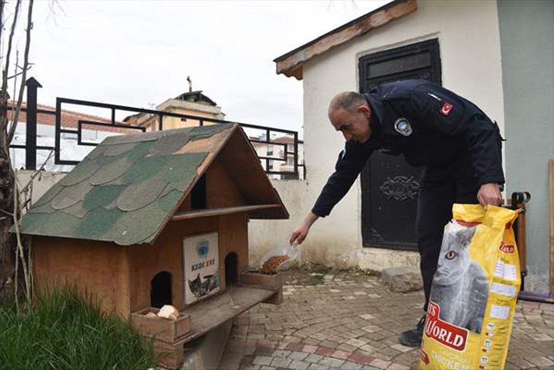 Taşköprü Belediyesi, sokak hayvanları için kedi evlerine mama bırakıyor