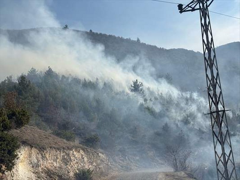 Kastamonu’da çıkan anız ve örtü yangını söndürüldü