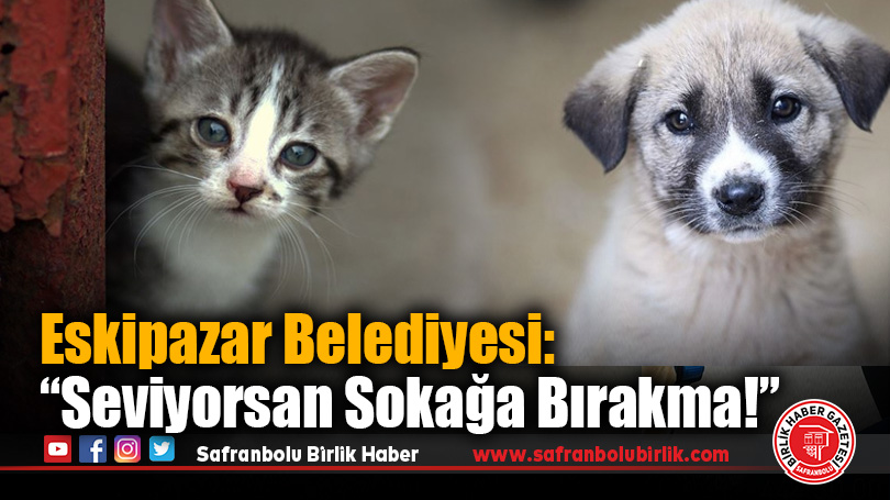 Eskipazar Belediyesi’nden Sahipli Hayvanlar İçin Önemli Uyarı
