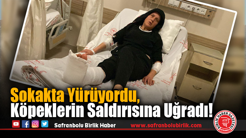 Karabük’te Sokak Köpeklerinin Saldırısına Uğrayan Kadın Yaralandı