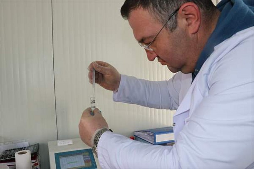 TKDK desteği ve soğuk zincir projesi sayesinde Kastamonu’da süt üretimi arttı