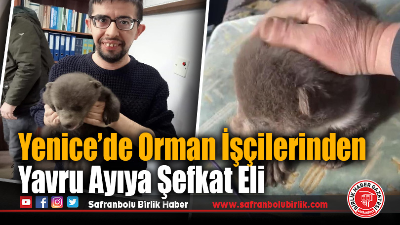 Yenice’de Orman İşçilerinden Yavru Ayıya Şefkat Eli
