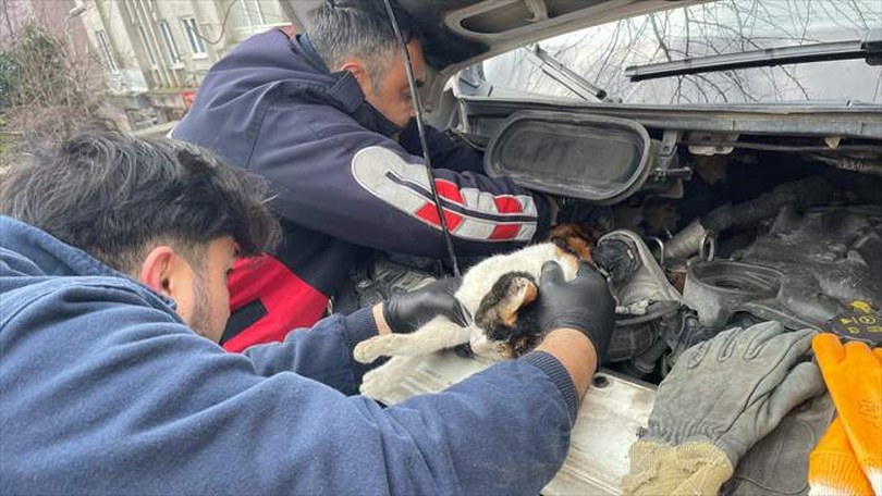 Zonguldak’ta ambulansın motor kısmına sıkışan kedi kurtarıldı
