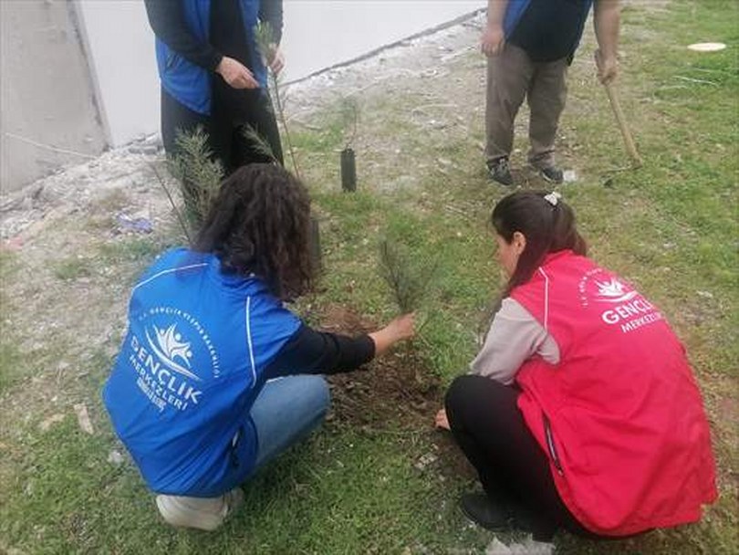 Cide’de fidan dikimi gerçekleştirildi