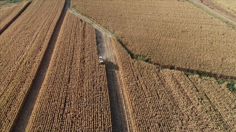 TZOB Genel Başkanı Bayraktar, gençlerin tarıma yönlendirilmesi için çağrıda bulundu
