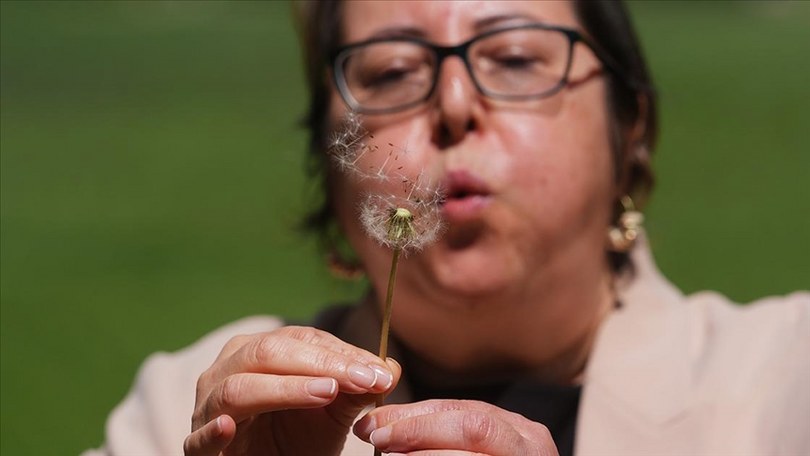 Alerjik duyarlılığı olanlar için polen yoğunluğu bültenle duyuruluyor