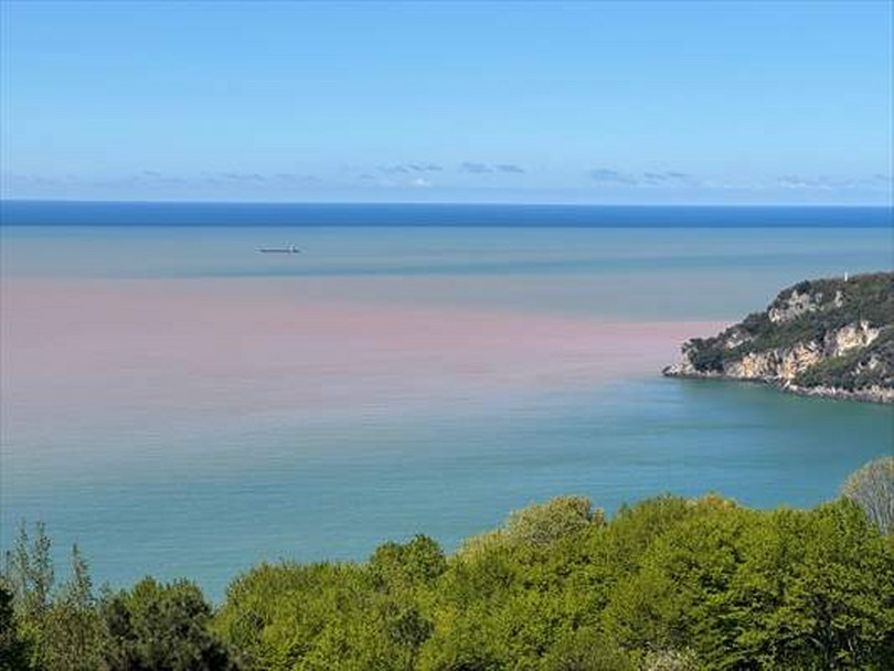 Bartın Irmağı’nın taşıdığı çamurlu su nedeniyle denizin rengi kahverengiye döndü