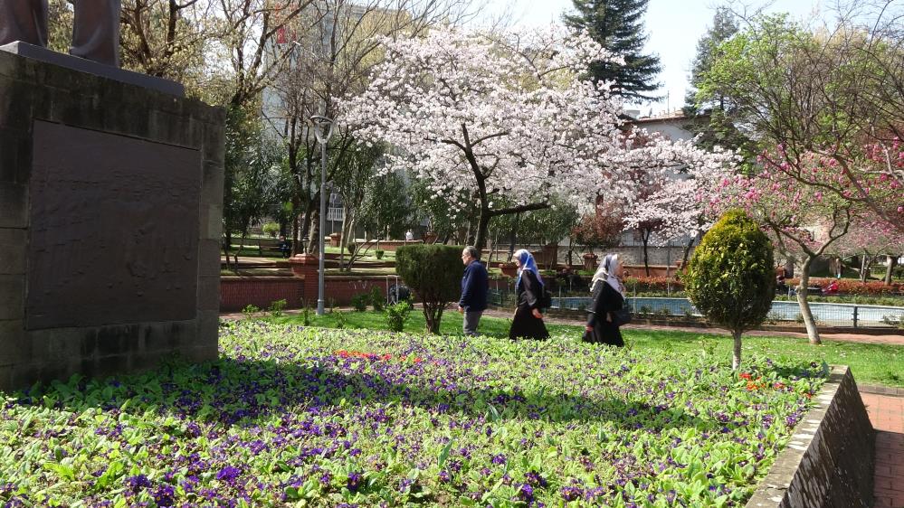 Havalar ısınıyor polen alerjisine dikkat