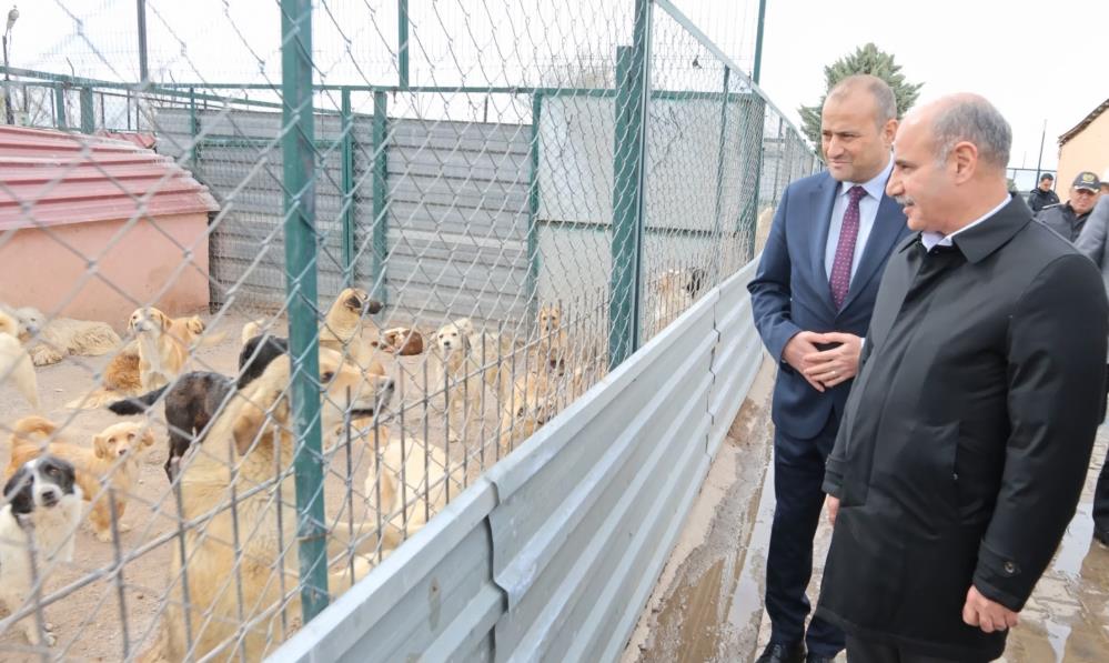 “Sokak hayvanları ülkemizin olumsuz gündem maddelerinden biri”