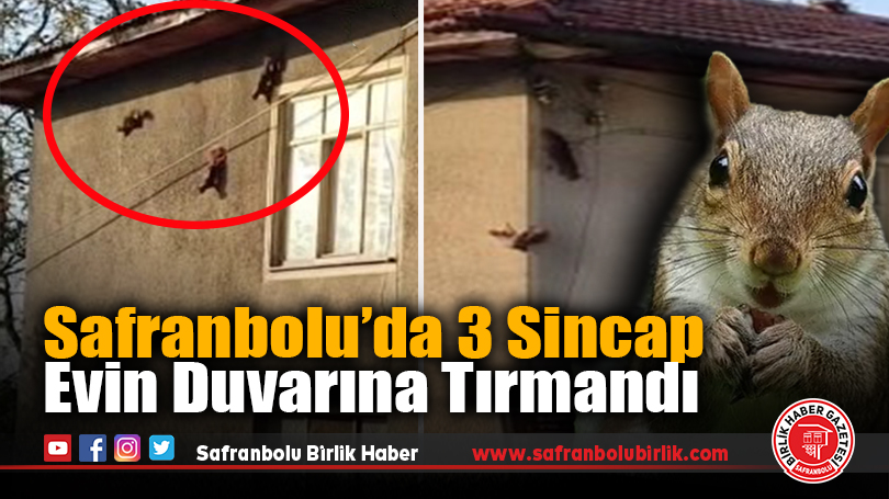 Safranbolu’da Sincaplar Kamerada