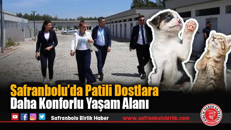 Safranbolu’da Patili Dostlara Daha Konforlu Yaşam Alanı