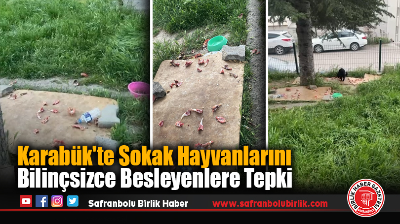 Karabük’te Sokak Hayvanlarını Bilinçsizce Besleyenlere Tepki