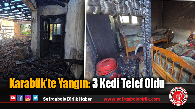 Karabük’te Yangın: 3 Kedi Telef Oldu