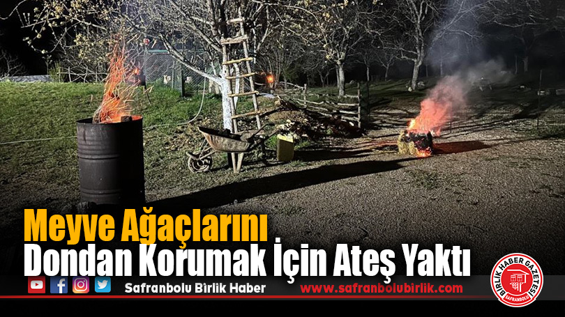 Meyve Ağaçlarını Dondan Korumak İçin Ateş Yaktı