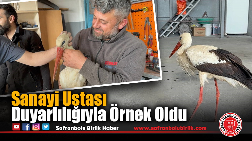 Karabük’te Oto Kaporta Ustası, Bitkin Halde Bulduğu Leyleğe Sahip Çıktı