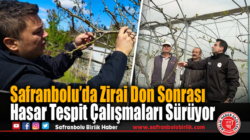 Safranbolu’da Zirai Don Sonrası Hasar Tespit Çalışmaları Sürüyor