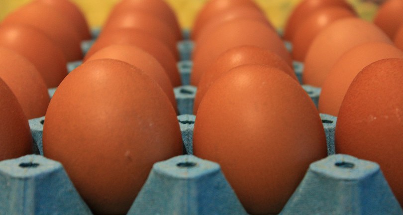 Yumurta fiyatları “mayıs çukuru” yaklaşınca düşüşe geçti