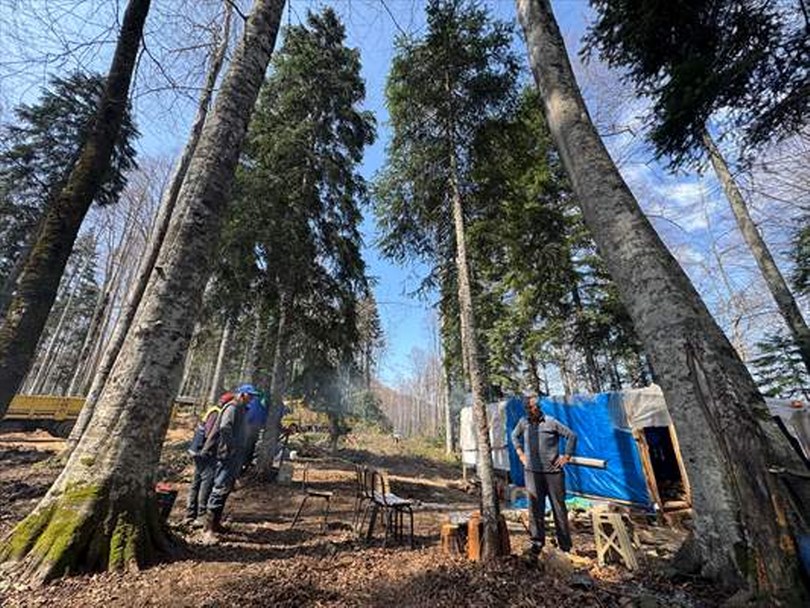 Orman işçileri dağ tepe demeden görev başında