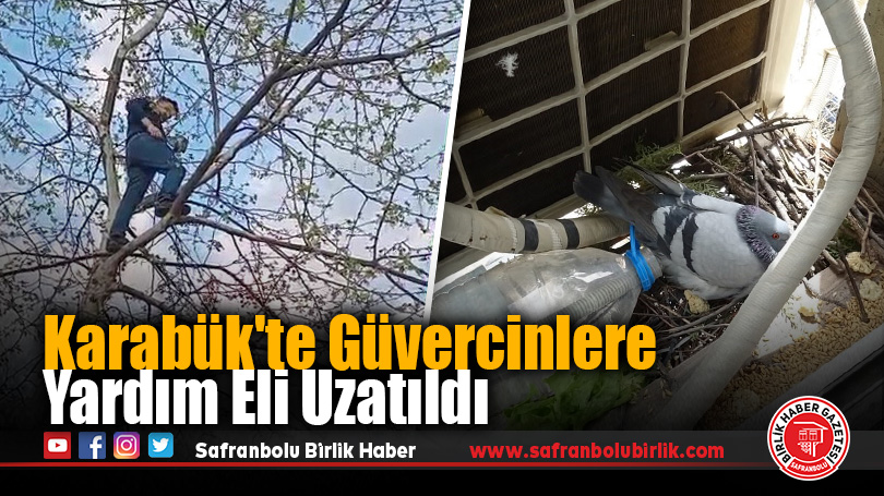 Karabük’te Güvercinlere Yardım Eli Uzatıldı