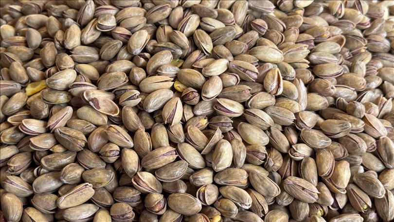 Türkiye’den yılın ilk çeyreğinde 59,7 milyon dolarlık fıstık ihraç edildi