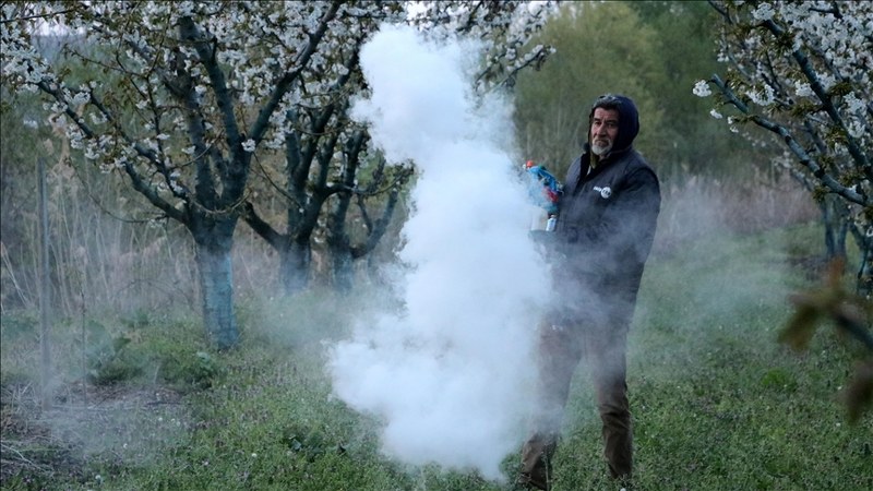 Tekirdağ’da üreticiler “zirai don” nöbeti tutuyor