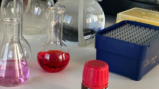 Çörek otu yağının radyoterapi ve kemoterapiyle kanser hücrelerini öldürdüğü tespit edildi