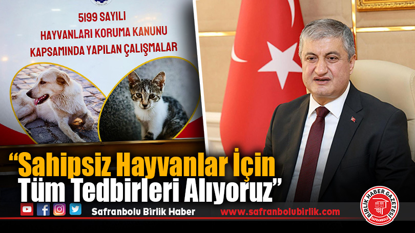 Vali Yavuz: “Sahipsiz Hayvanlar İçin Tüm Tedbirleri Alıyoruz”