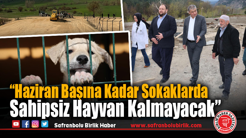 Karabük’te Sahipsiz Hayvanlar İçin 4 Bin Kapasiteli Barınak Geliyor