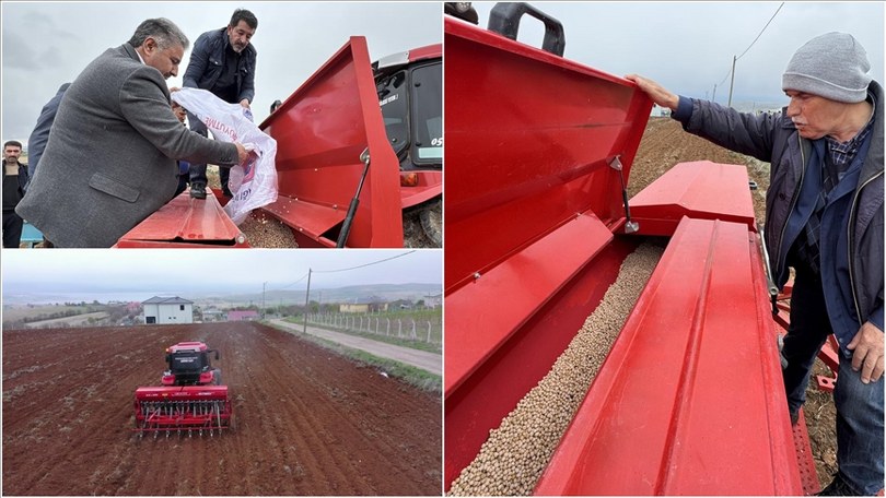 Ağın leblebisi nohudunun organik üretimi için kimyasal gübre yerine bakteri kullanılacak