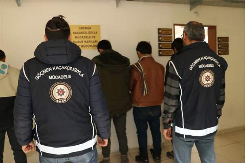 Amasya’da canlı hayvan taşıyan tırlarda 5 düzensiz göçmen yakalandı