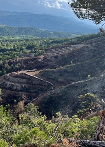 Bolu’da yangınlarda zarar gören alanlar 5 milyon 350 ağaçla yeşillendirilecek
