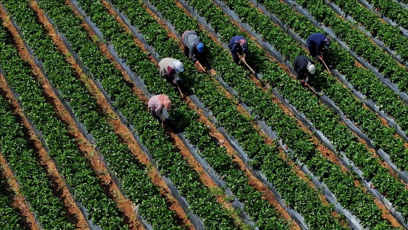 Tarımsal girdi fiyat endeksi martta yıllık yüzde 29,73, aylık yüzde 1,8 arttı