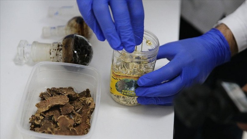 Ekibiyle 2 bini aşkın bitkiyi analiz eden akademisyen yeni ilaçların geliştirilmesi için çalışıyor