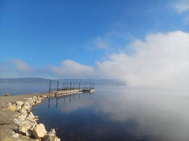 Yeniçağa Kuş Cenneti’nde sis güzel görüntü oluşturdu