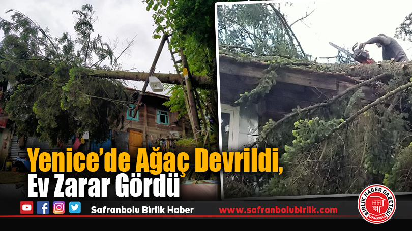Yenice’de Ağaç Devrildi, Ev Zarar Gördü