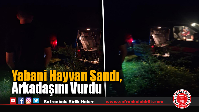 Yabani Hayvan Sandı, Arkadaşını Vurdu