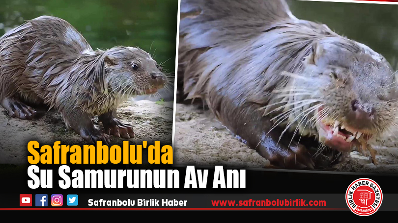 Safranbolu’da Su Samurunun Av Anı
