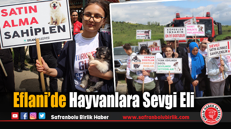 Eflani’de Hayvanlara Sevgi Eli