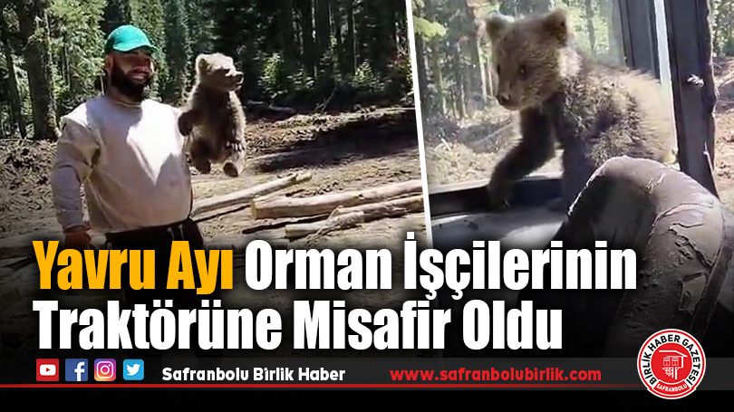 Karabük’te Orman İşçilerine Yavru Ayı Sürprizi