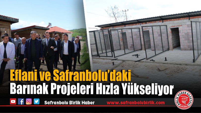 Vali Yavuz’dan Eflani ve Safranbolu’daki Barınak Projelerine inceleme