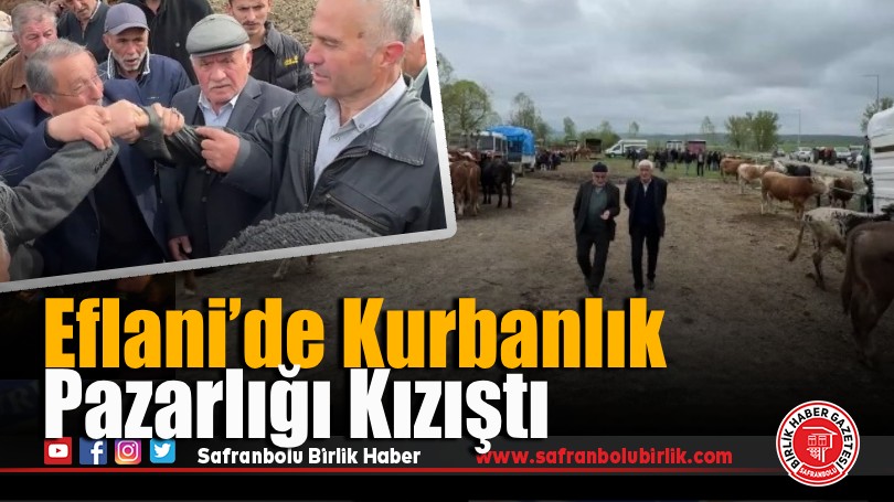 Eflani’de Kurbanlık Satışları Başladı: Pazarlıklar Kızıştı