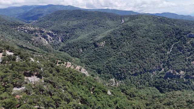 Doğa yürüyüşünde kaybolan Çevre ve Şehircilik İl Müdür Yardımcısını arama çalışmalarına 100 kişilik ekip sevk edildi